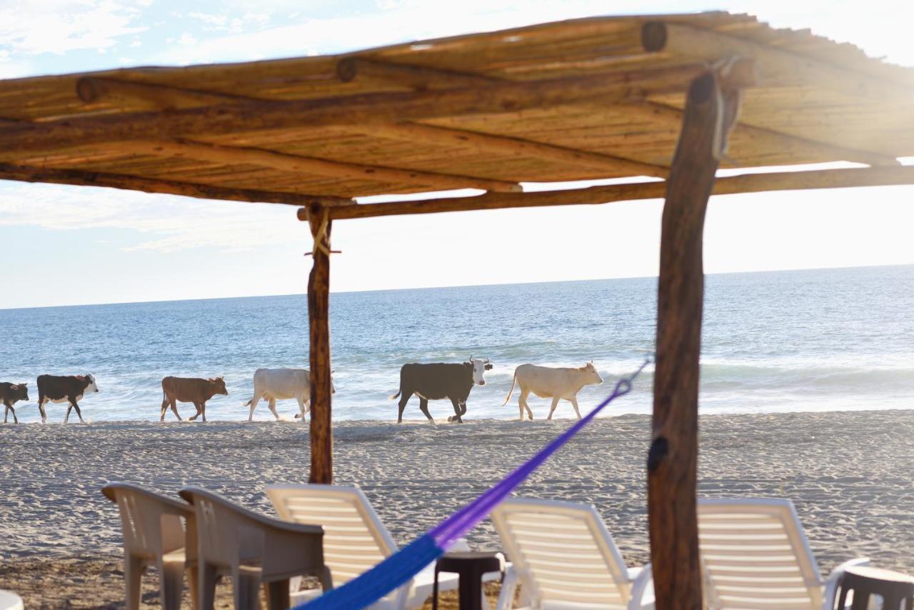 Cerritos Beach Palace El Pescadero  Dış mekan fotoğraf